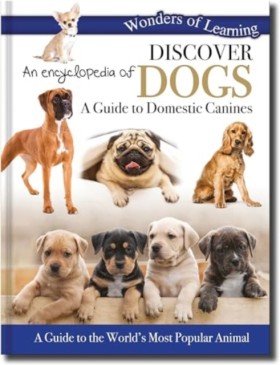Discover a …