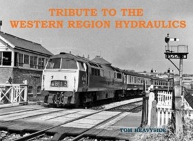 Tribute to …