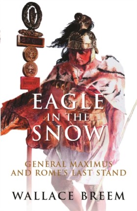 Eagle in t …