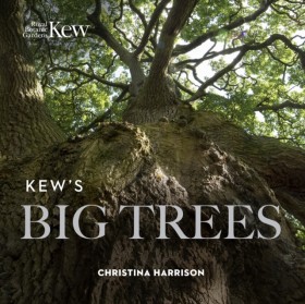 Kew’s Big …