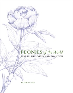 Peonies of &hellip;