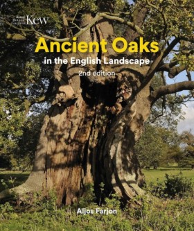 Ancient Oa …
