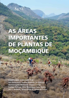 As Areas I …