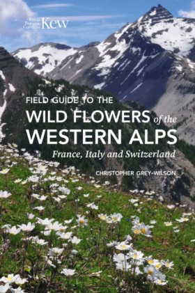 Field Guid &hellip;