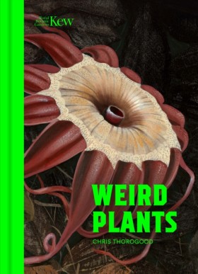 Weird Plan &hellip;