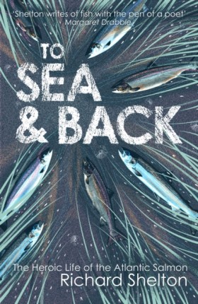 To Sea and &hellip;