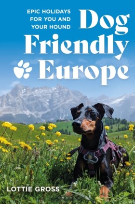 Dog-Friend …