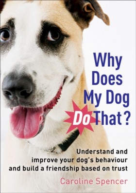 Why Does M …
