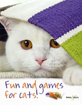 Fun and Ga …