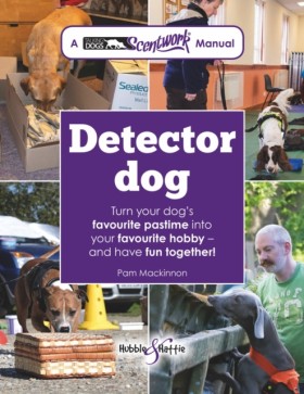 Detector D …