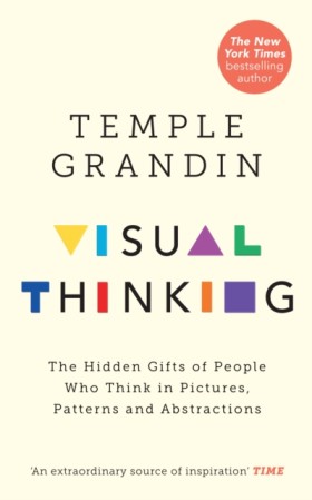 Visual Thi &hellip;