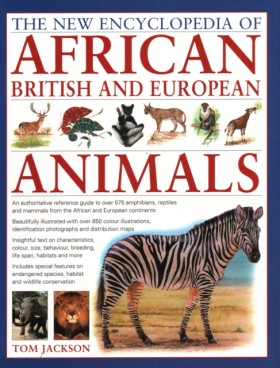 African, B …