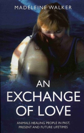 An Exchang &hellip;