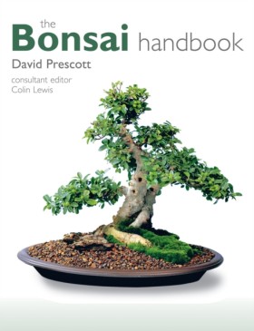The Bonsai &hellip;