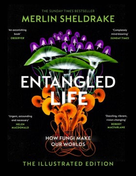 Entangled …