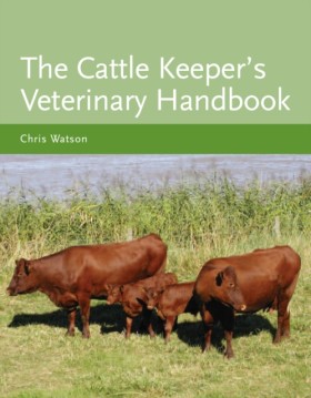 The Cattle …