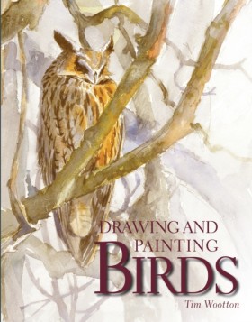 Drawing an …