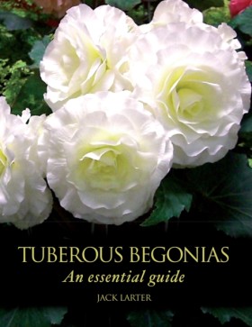 Tuberous B &hellip;