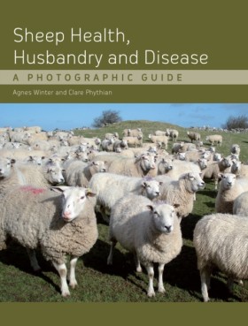 Sheep Heal &hellip;