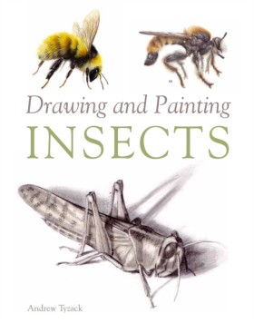 Drawing an …