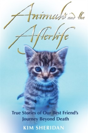 Animals an &hellip;