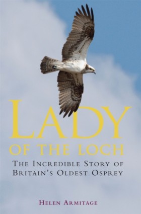 Lady of th &hellip;
