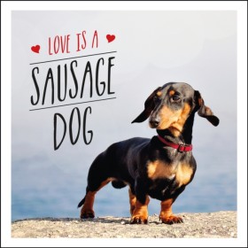 Love is a …