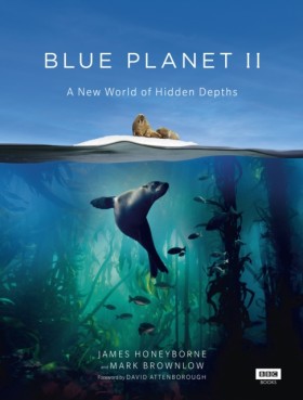 Blue Plane &hellip;