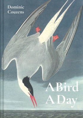 A Bird A D &hellip;