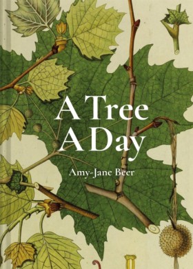 A Tree A D …