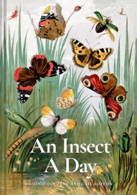 An Insect …