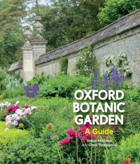 Oxford Bot …