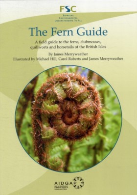 The Fern G …