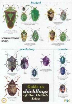 Guide to S …