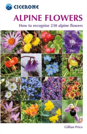 Alpine Flo &hellip;