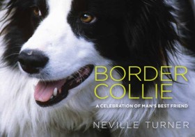 Border Col &hellip;
