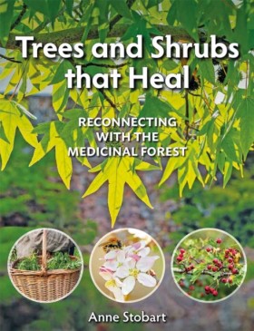 Trees and &hellip;