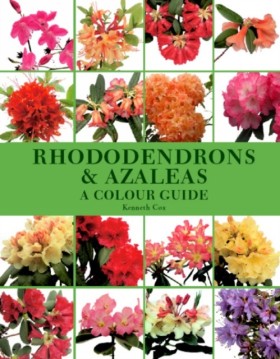 Rhododendr &hellip;