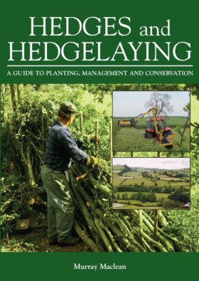 Hedges and …