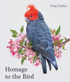 Homage to …