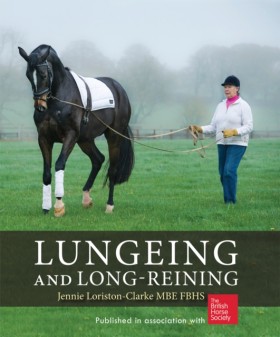 Lungeing a …
