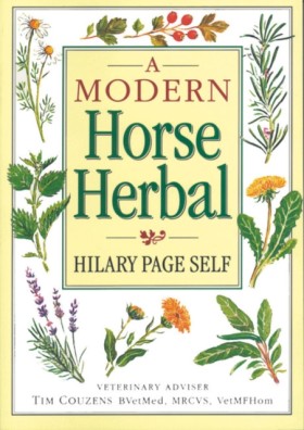 A Modern H &hellip;