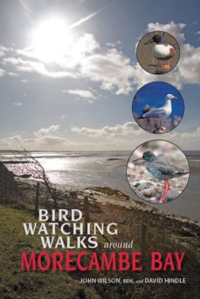 Birdwatchi …