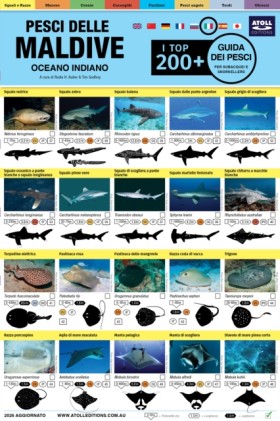 Maldive Gu …