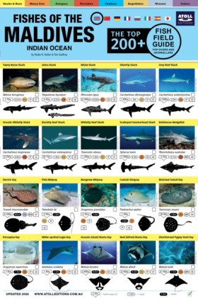 Maldives F …