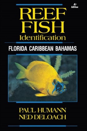 Reef Fish &hellip;