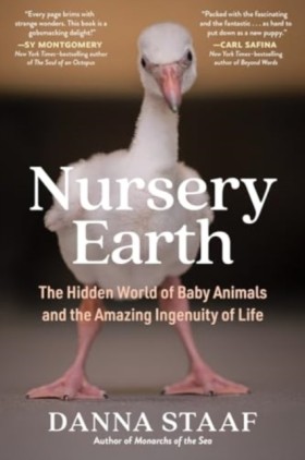 Nursery Ea &hellip;