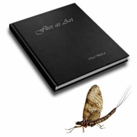 Flies as A …