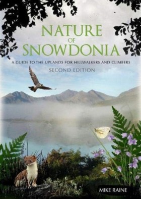 Nature of &hellip;