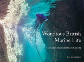Wondrous B &hellip;